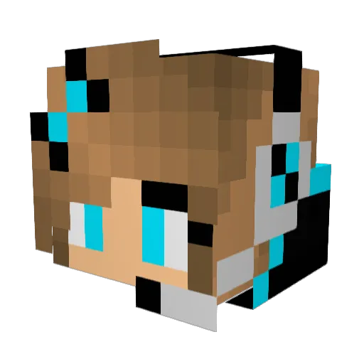 FARRAHSPARKLES Minecraft avatar head, 3D render