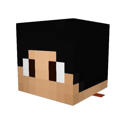 FART_101 Minecraft avatar head, 3D render