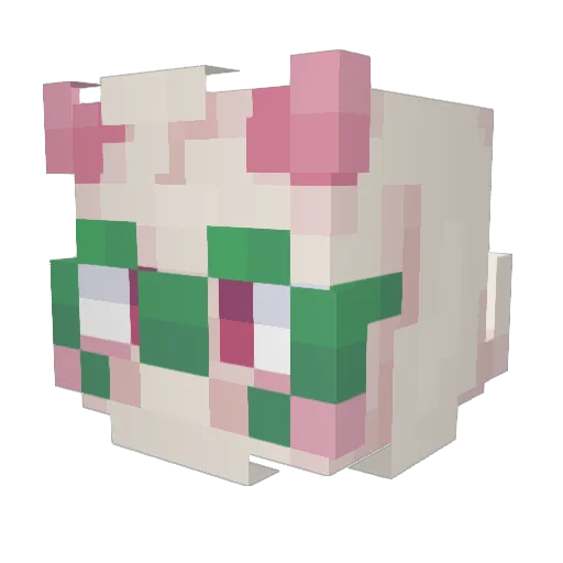 FART_HOLE Minecraft avatar head, 3D render