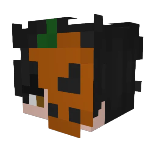 FASLIPK Minecraft avatar head, 3D render