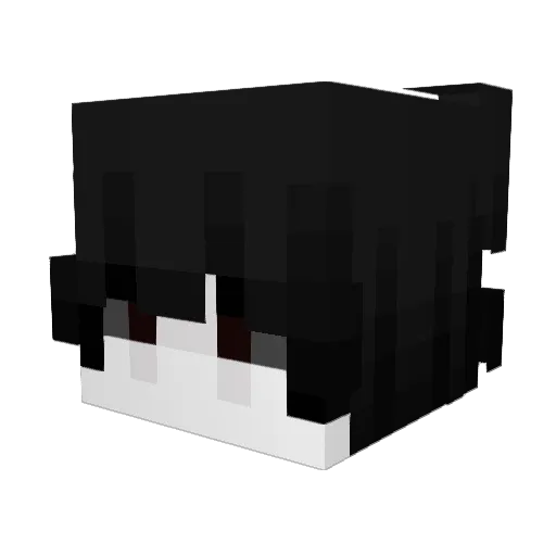 FASTzmx Minecraft avatar head, 3D render
