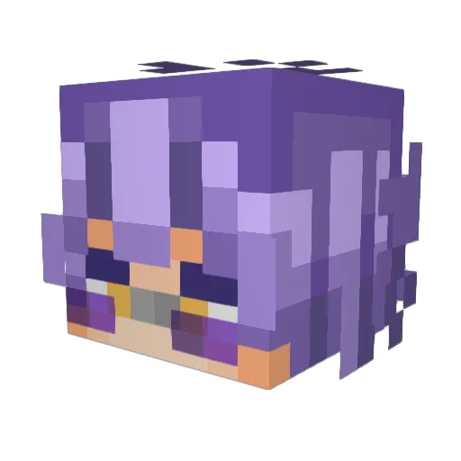 FATCAT___ Minecraft avatar head, 3D render