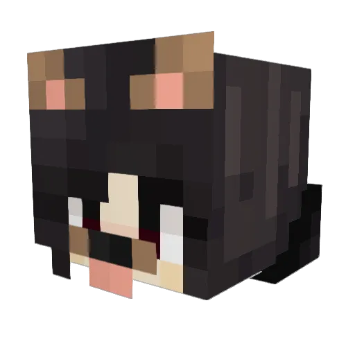 FATE012 Minecraft avatar head, 3D render