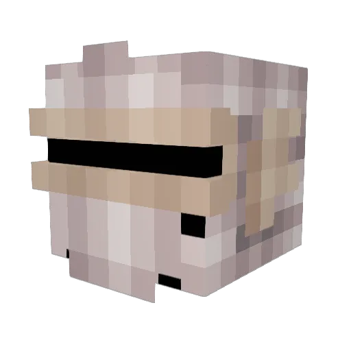 FATE2003 Minecraft avatar head, 3D render