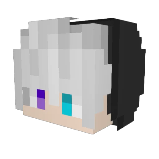 FATIC_BLAZISHOT Minecraft avatar head, 3D render