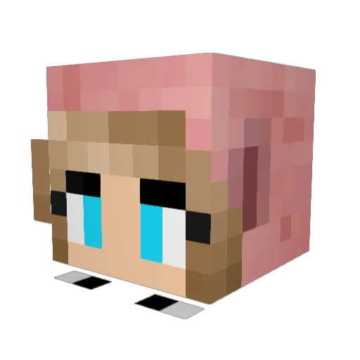 FATLILPIGIE Minecraft avatar head, 3D render