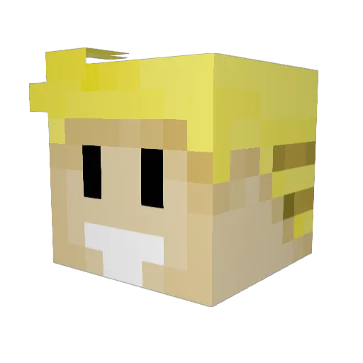 FAULT_BOY18 Minecraft avatar head, 3D render