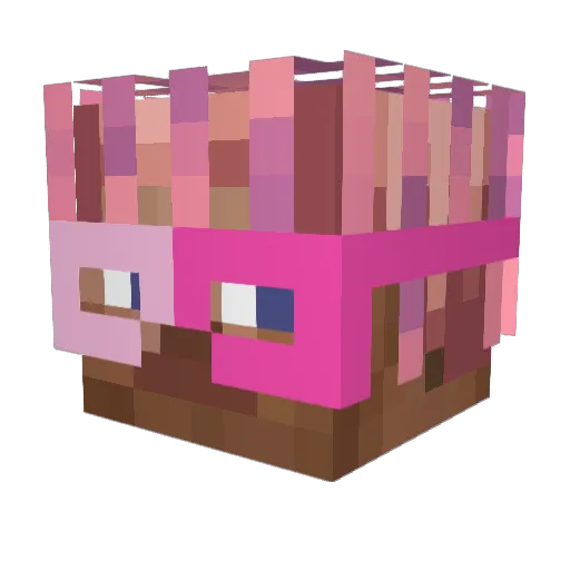 FAUNIA Minecraft avatar head, 3D render