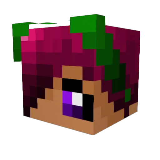 FAUXBOY Minecraft avatar head, 3D render