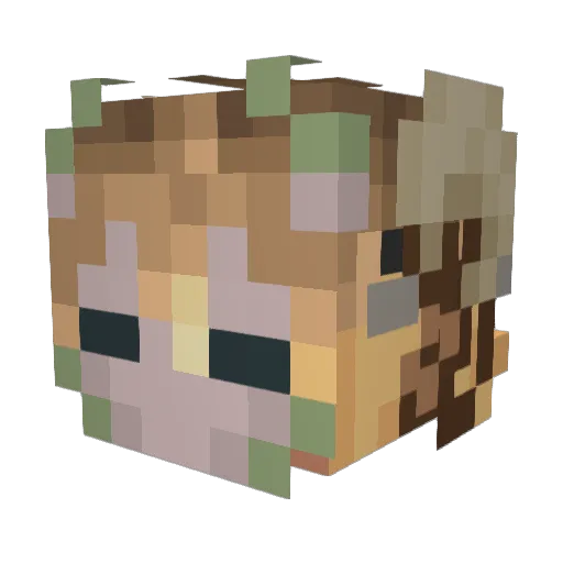 FAWXD3N Minecraft avatar head, 3D render