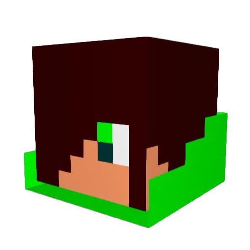 FAZE4012 Minecraft avatar head, 3D render