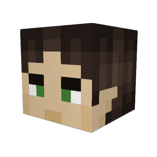 FAZELORD726 Minecraft avatar head, 3D render