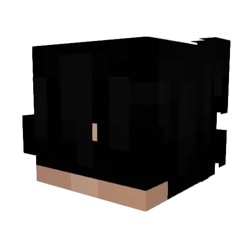 FBI151 Minecraft avatar head, 3D render