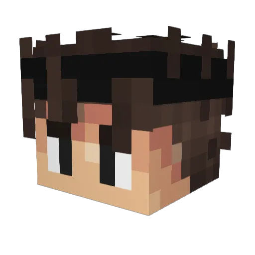 FBIIOpenUp Minecraft avatar head, 3D render