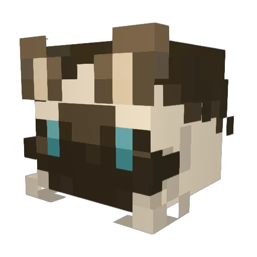 FBISeagull Minecraft avatar head, 3D render