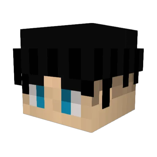 FBI_22 Minecraft avatar head, 3D render