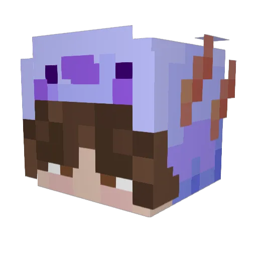 FBI_Beter Minecraft avatar head, 3D render