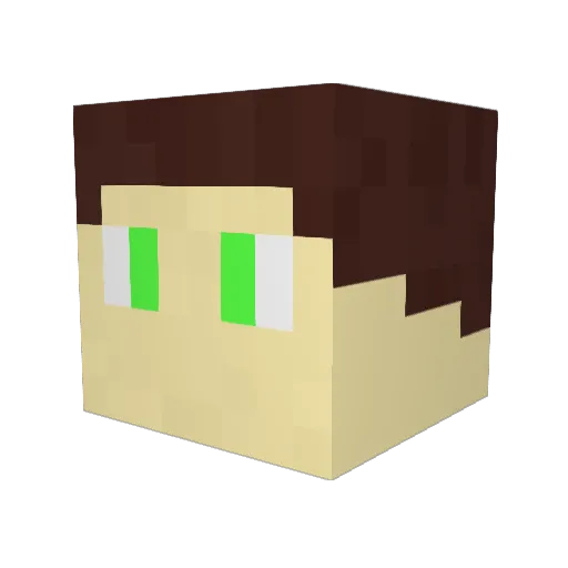 FBI_CP9 Minecraft avatar head, 3D render