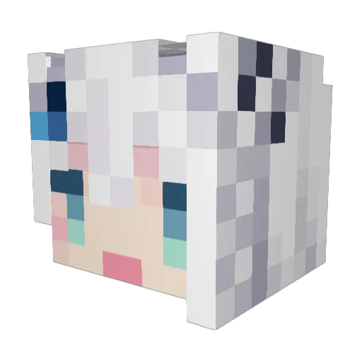 FBKknj Minecraft avatar head, 3D render