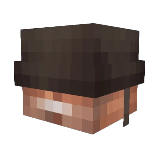 FBNPTRS Minecraft avatar head, 3D render