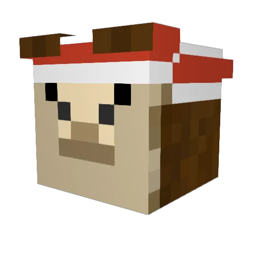 FBNTimmyy Minecraft avatar head, 3D render