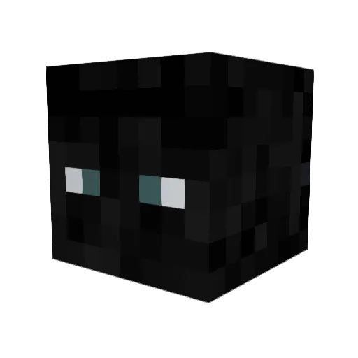 FBPlayer_72 Minecraft avatar head, 3D render