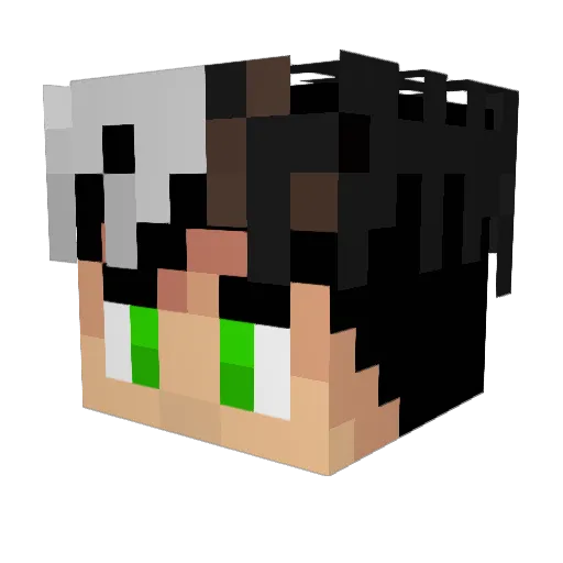 FB_Yokeden Minecraft avatar head, 3D render
