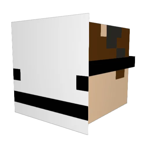 FBarni Minecraft avatar head, 3D render