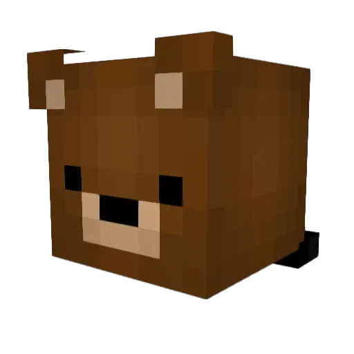 FBnnBT Minecraft avatar head, 3D render
