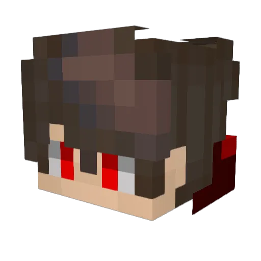 FCKleszcz Minecraft avatar head, 3D render
