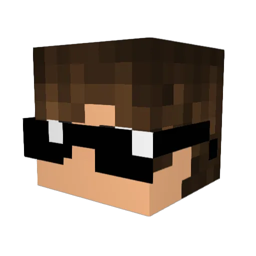 FCMC_FesterCool Minecraft avatar head, 3D render