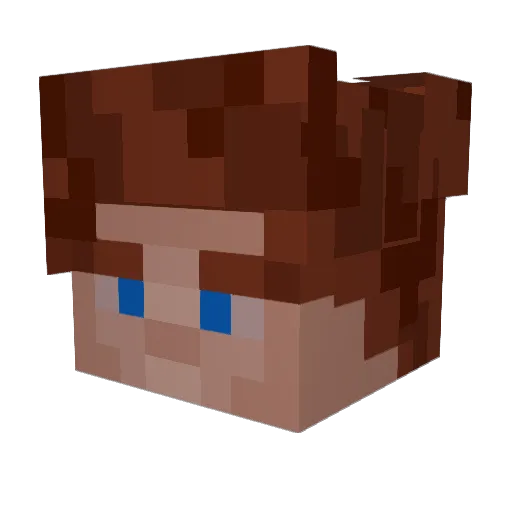 FCNikki Minecraft avatar head, 3D render