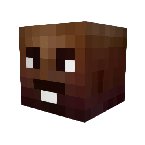 FCS_Tommy Minecraft avatar head, 3D render