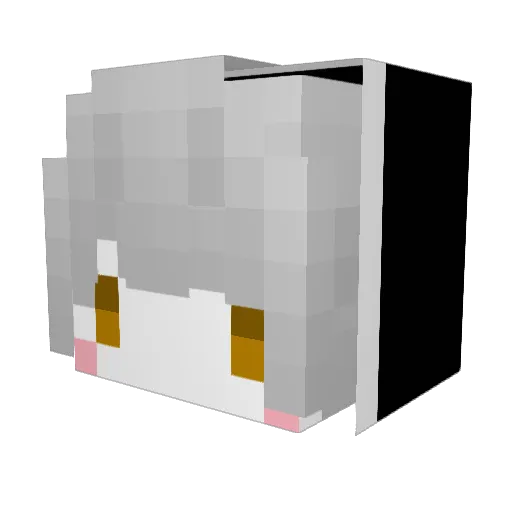 FC_Blounlak Minecraft avatar head, 3D render