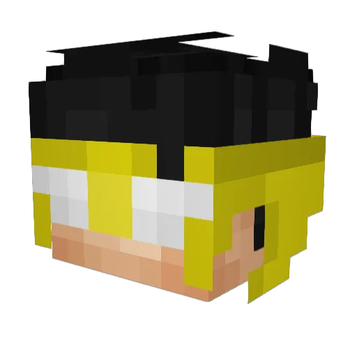 FC_names Minecraft avatar head, 3D render