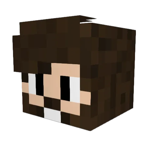 FDATK Minecraft avatar head, 3D render