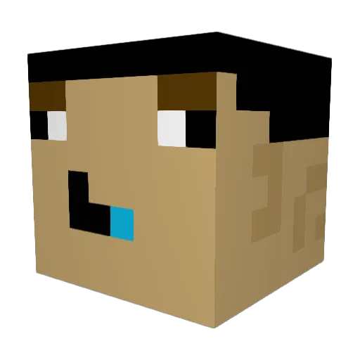 FDBOC Minecraft avatar head, 3D render