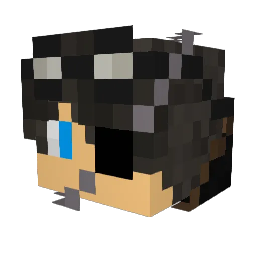 FDSamuel Minecraft avatar head, 3D render