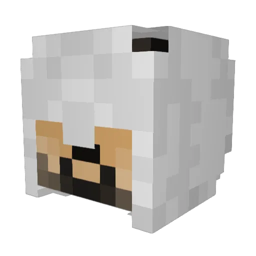 FDjunior Minecraft avatar head, 3D render