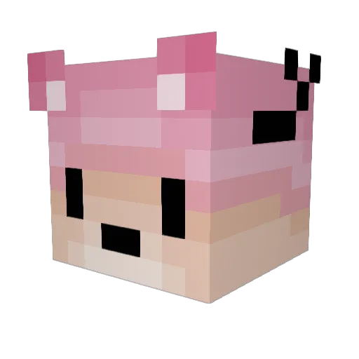 FDouglas555 Minecraft avatar head, 3D render