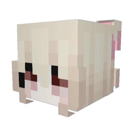 FE0_ Minecraft avatar head, 3D render