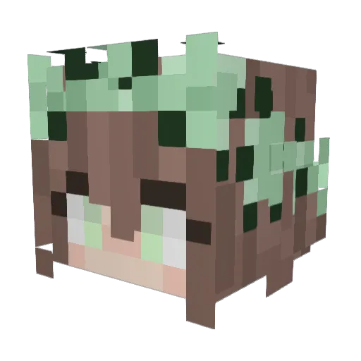 FEAEKC3 Minecraft avatar head, 3D render