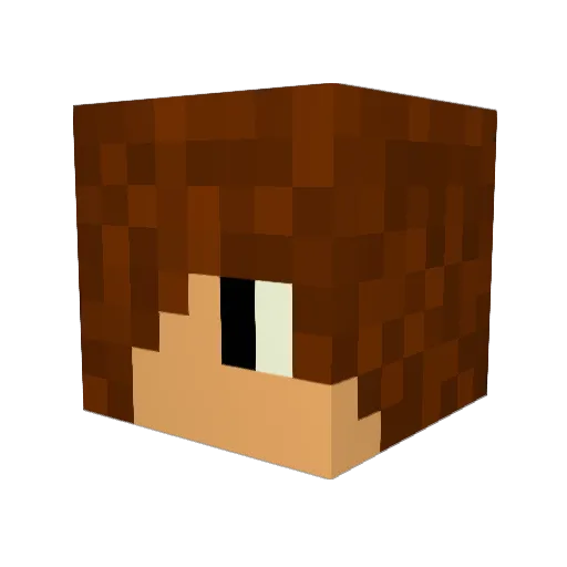 FEDDERATION Minecraft avatar head, 3D render