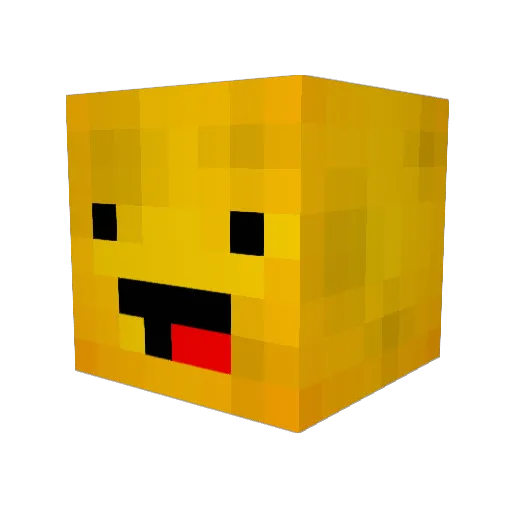 FEDDERS10 Minecraft avatar head, 3D render