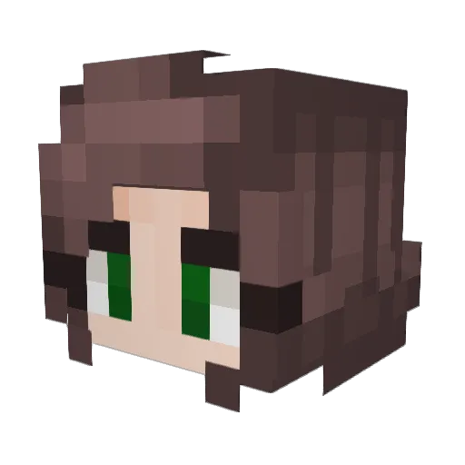 FEEFE Minecraft avatar head, 3D render