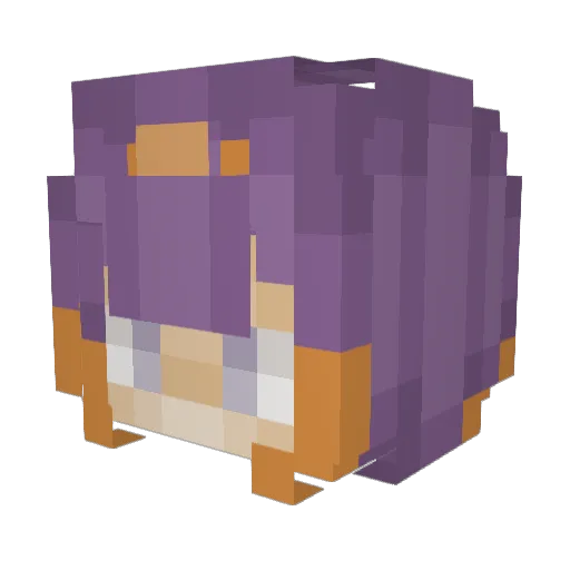 FEJonJon Minecraft avatar head, 3D render