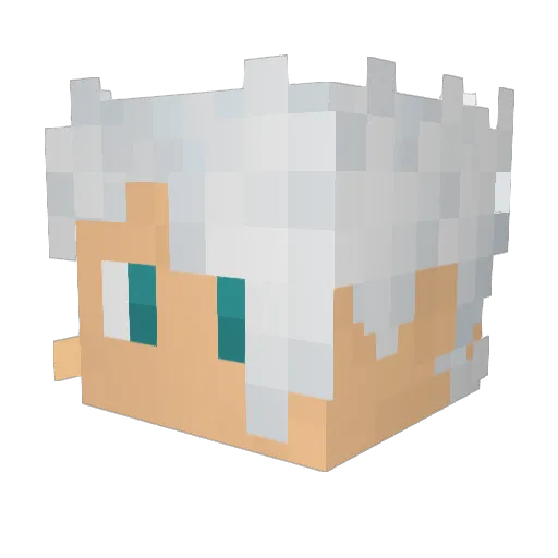 FELLLYx Minecraft avatar head, 3D render