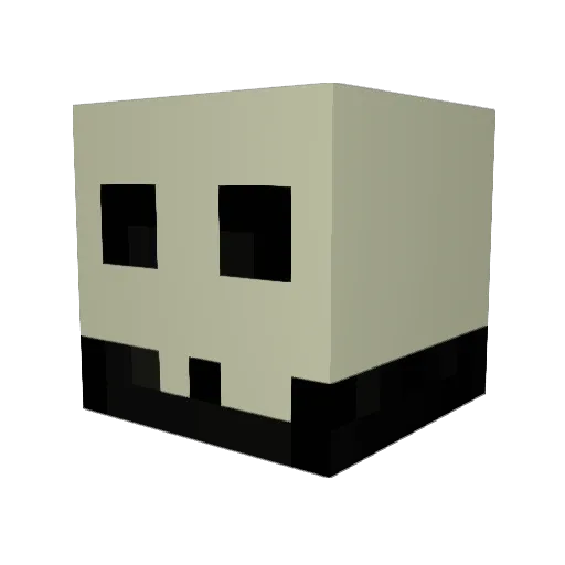 FELTER_ Minecraft avatar head, 3D render