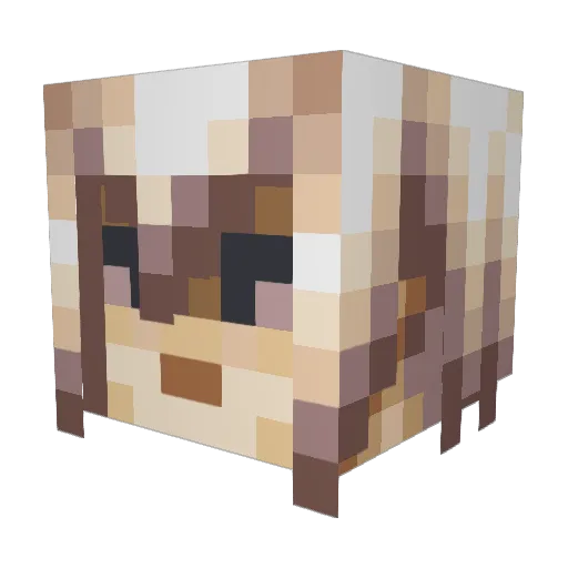 FELUCCACHAN Minecraft avatar head, 3D render