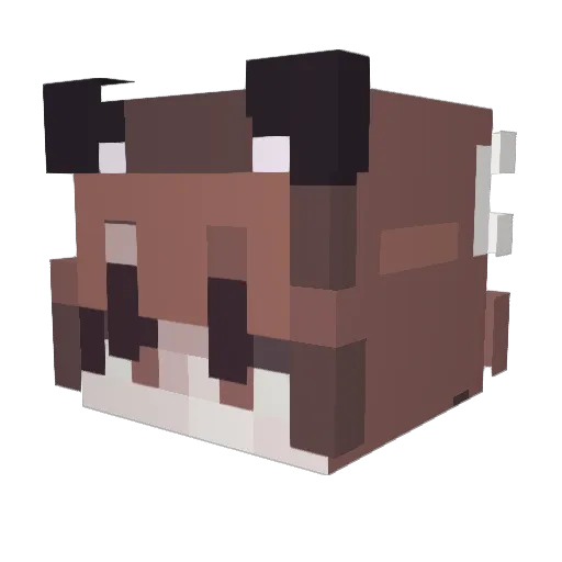 FEMBOY_ZYaynon Minecraft avatar head, 3D render